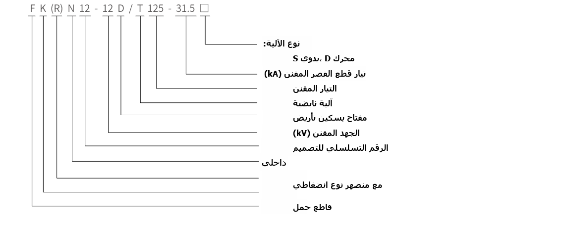 FKN12/FKRN12-12D schematic diagram
