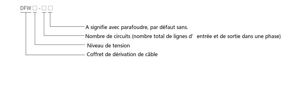 Schéma de désignation du type de la boîte de dérivation de câble DFW-12