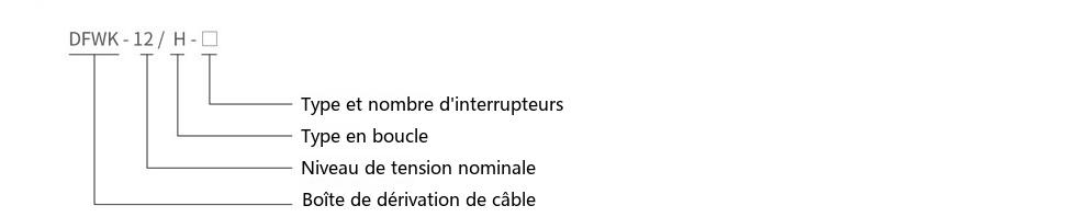 Schéma de désignation du type du poste de distribution en boucle d'extérieur DFWK-12