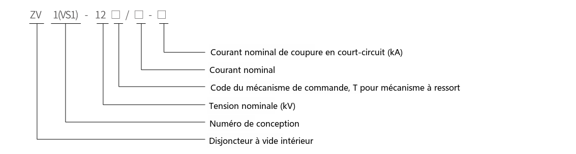 Schéma de désignation du type ZV1(VS1)-12