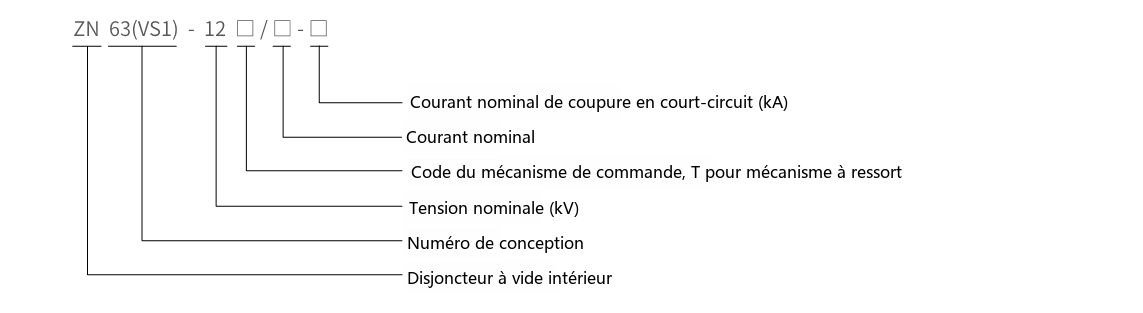 Schéma de désignation du type ZN63(VS1)-12