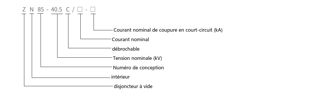 Schéma de désignation du type ZN85-40.5