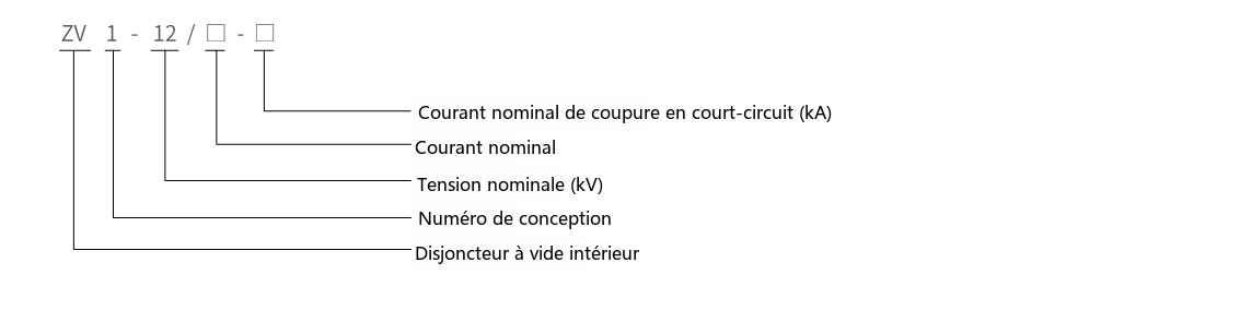 Schéma de désignation du type ZV1(VS1)-12