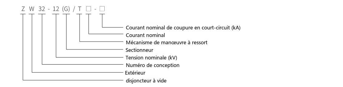 Désignation du type du disjoncteur à vide haute tension d'extérieur ZW32-12(G)
