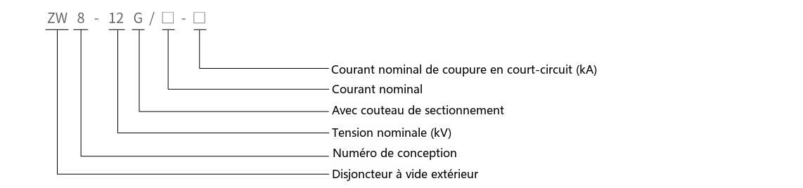 Schéma de désignation du type de disjoncteur à vide haute tension d'extérieur ZW8-12/630A